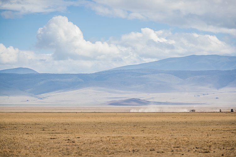 TZA ARU Ngorongoro 2016DEC26 Crater 082